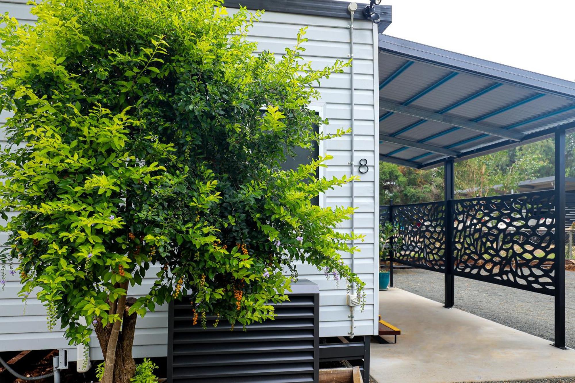 Kingaroy Holiday Park מראה חיצוני תמונה